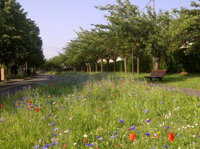 Appart Hotel Studihotel Palaiseau Plateau Saclay Esterno foto