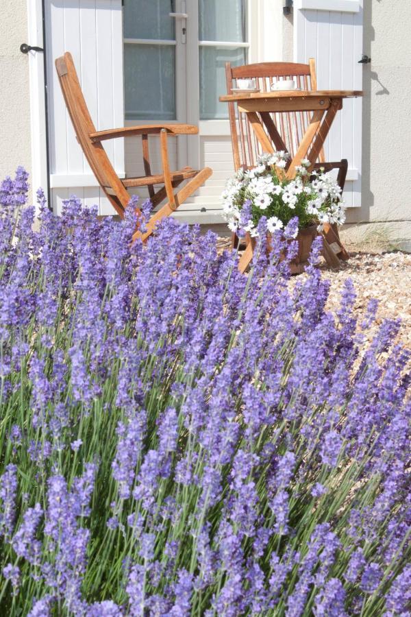 Appart Hotel Studihotel Palaiseau Plateau Saclay Esterno foto